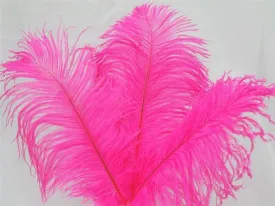 13"-15" Fabulous Natural Ostrich Feathers-12PCS - Fushia