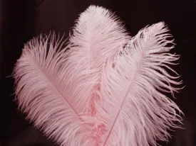 13"-15" Fabulous Natural Ostrich Feathers-12PCS - Pink