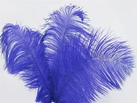 13"-15" Fabulous Natural Ostrich Feathers-12PCS - Royal Blue