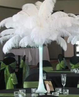 13"-15" Fabulous Natural Ostrich Feathers-12PCS - White
