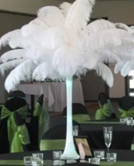 13"-15" Fabulous Natural Ostrich Feathers-12PCS - White